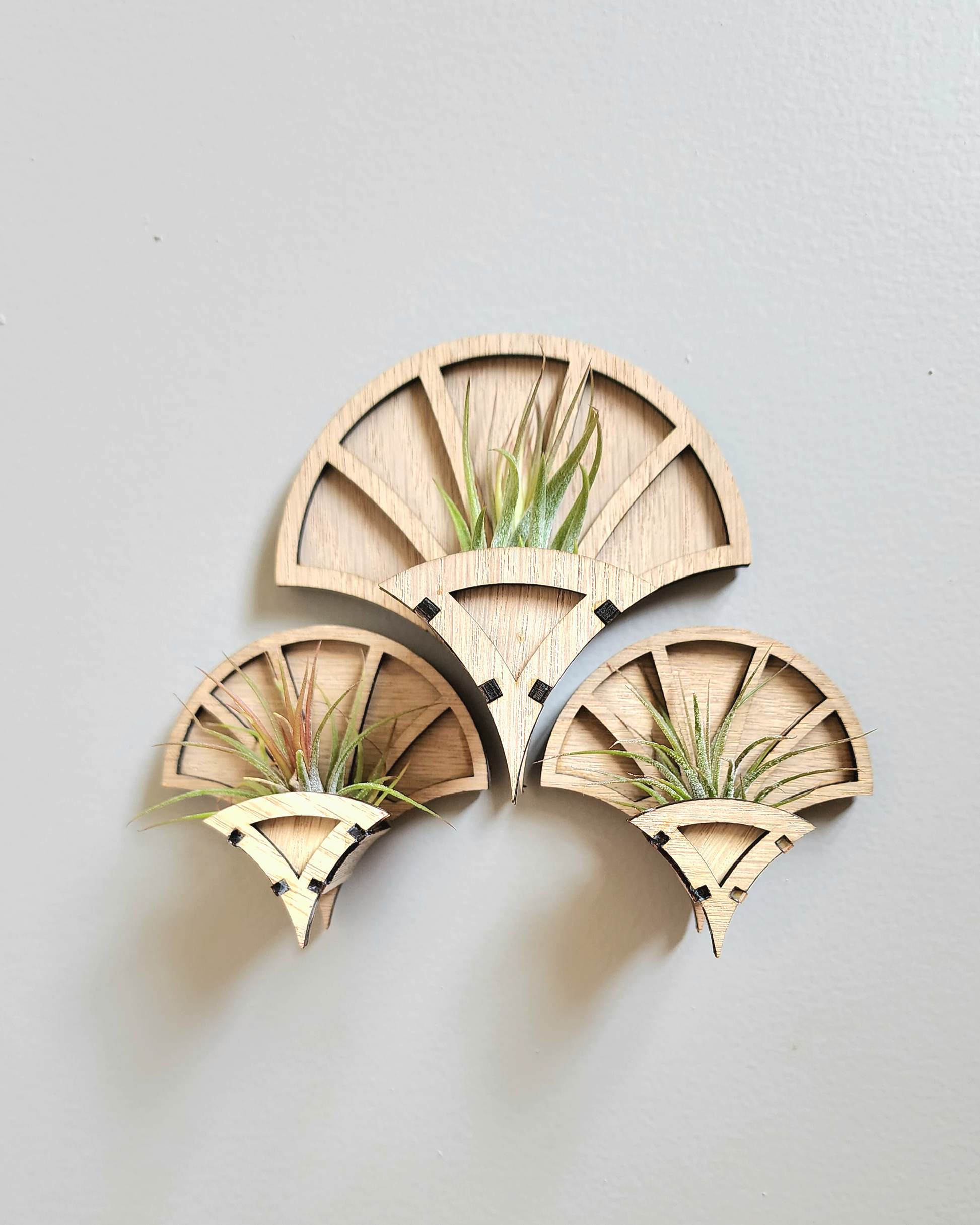 Mini Air Plant Holder | Fan Air Plant Holder | Lumen Alchemy