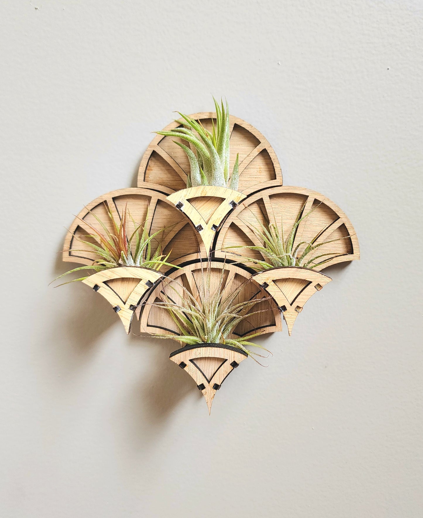 Mini Air Plant Holder | Fan Air Plant Holder | Lumen Alchemy