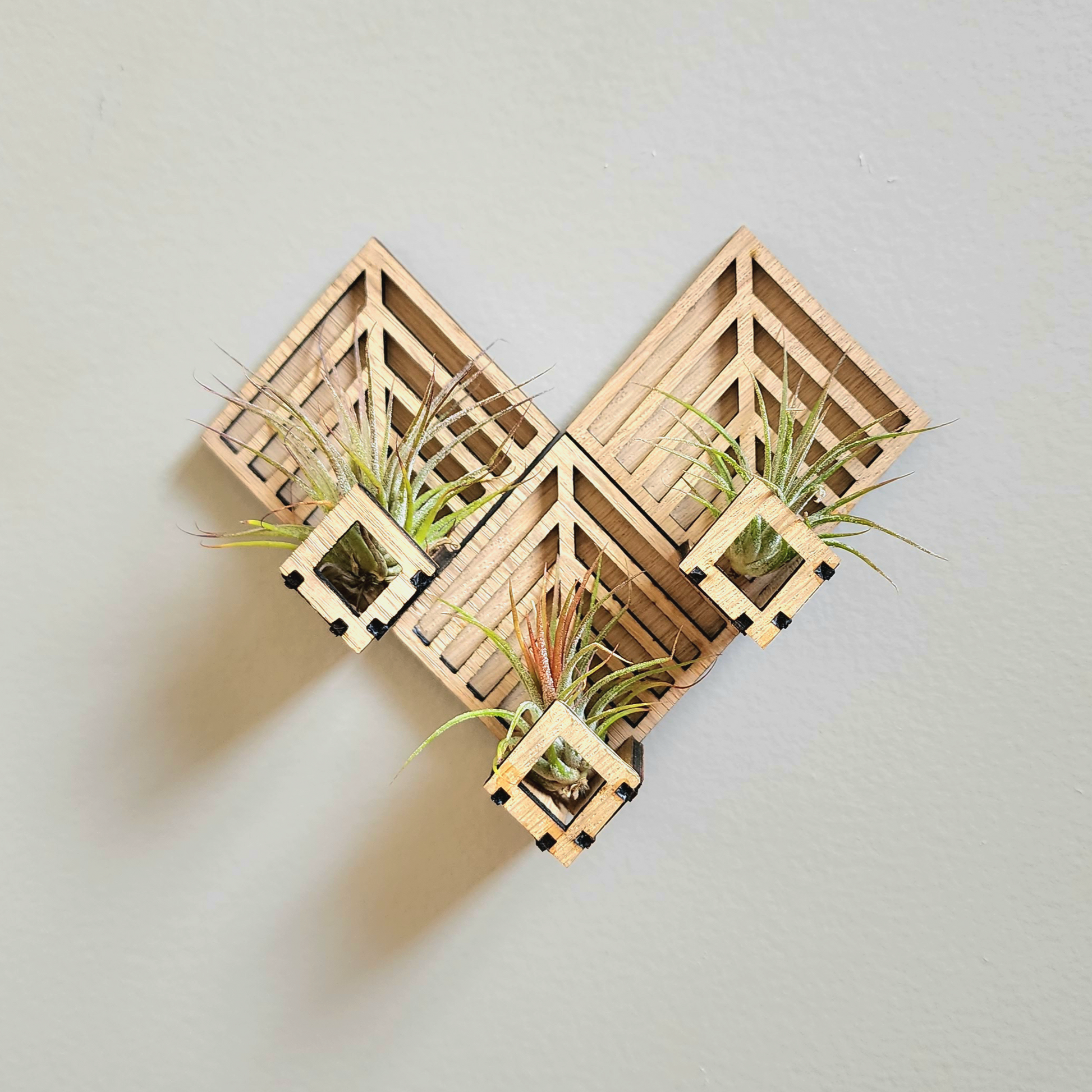 Air Plant Wall Holder | Diamond Air Plant Holder | Lumen Alchemy